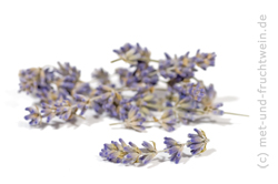 Lavendel